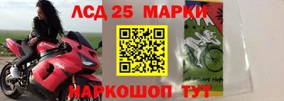 крисы Нальчик