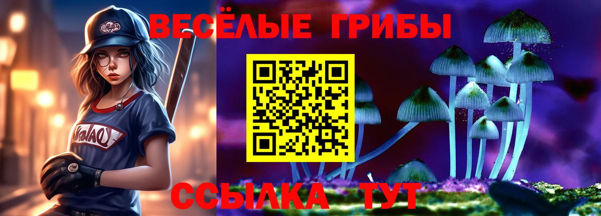 Галлюциногенные грибы Psilocybine cubensis Лянтор